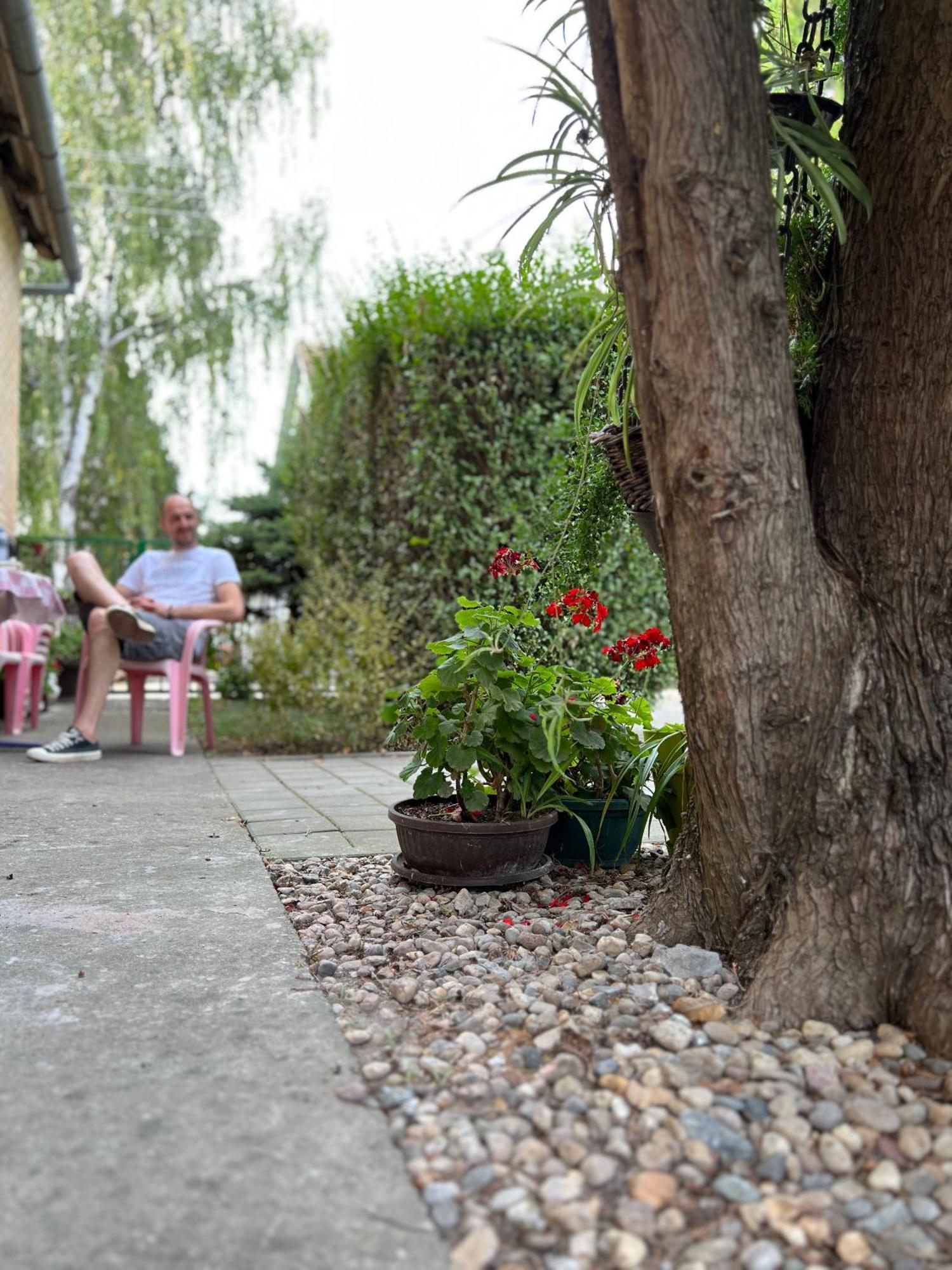 Bezdan Guesthouse Eksteriør billede