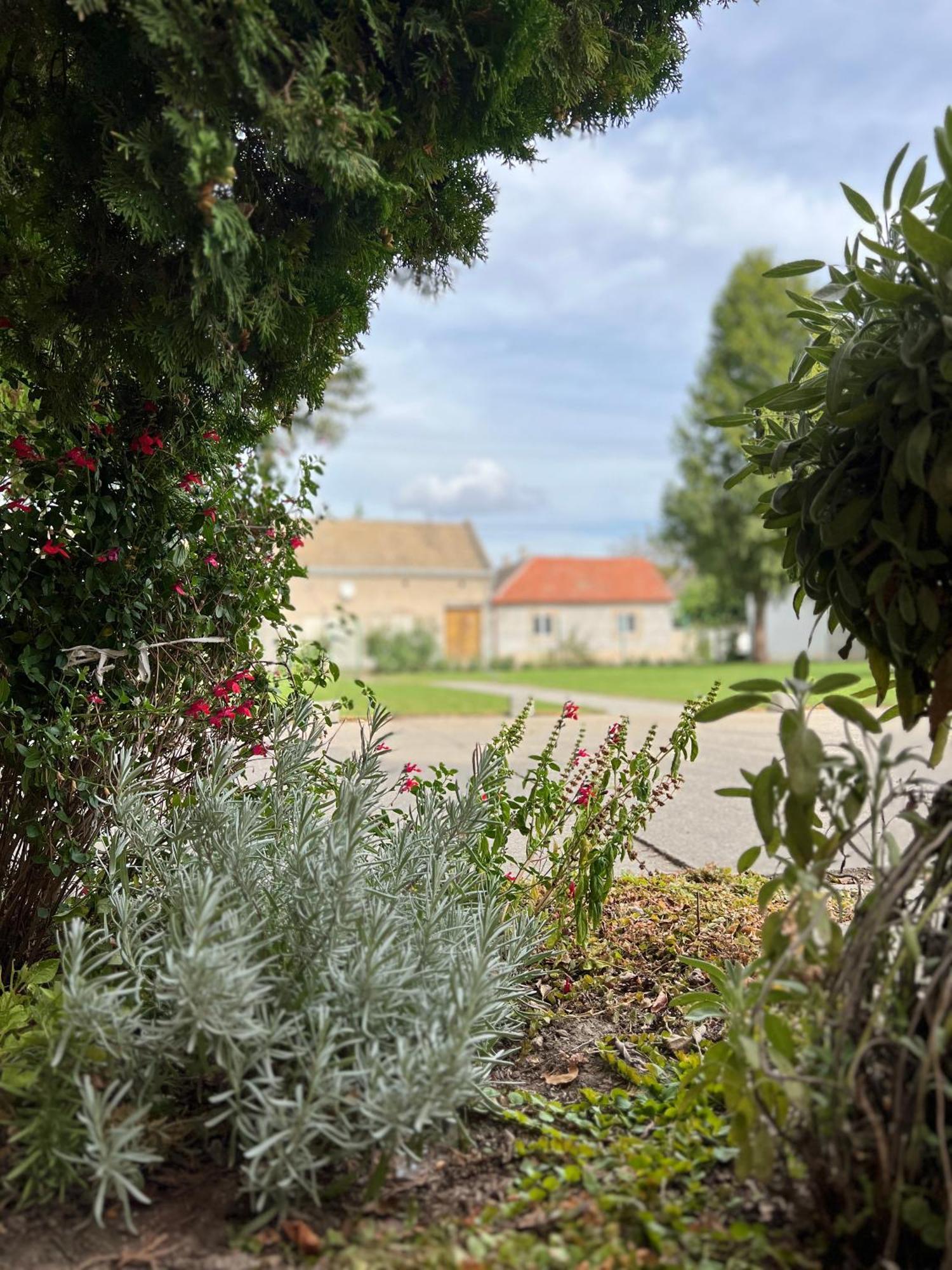 Bezdan Guesthouse Eksteriør billede